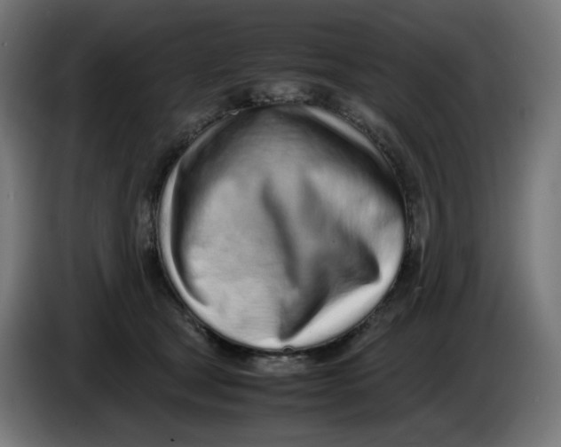 X0000086110465200704132213