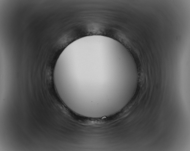 X0000086110466200704132213