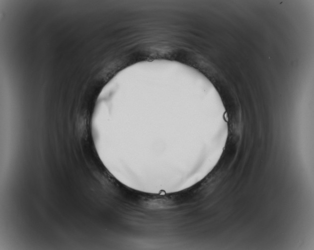 X0000086110468200704132213