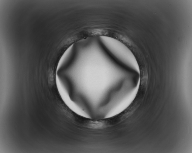 X0000086110469200704132213