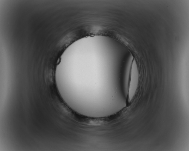 X0000086110470200704132213