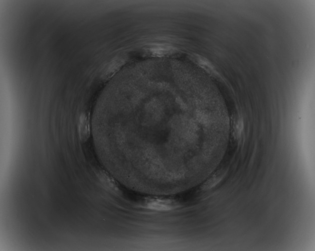 X0000086110471200704132213