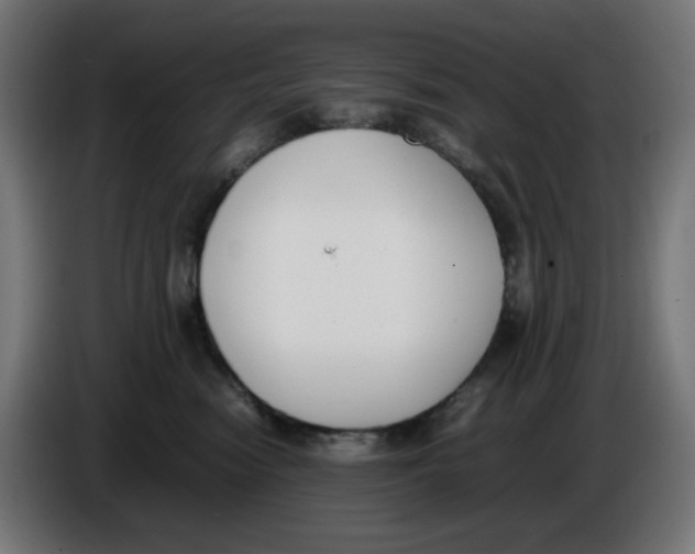 X0000086110474200704132213