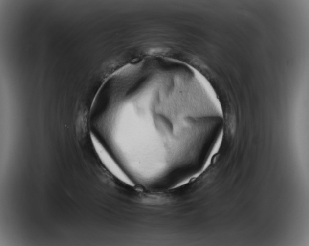 X0000086110475200704132213