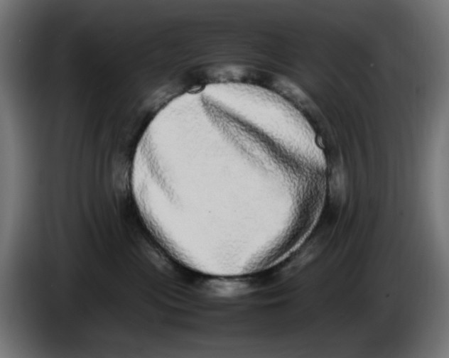 X0000086110477200704132213