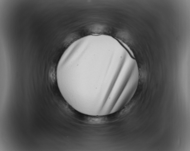 X0000086110479200704132213