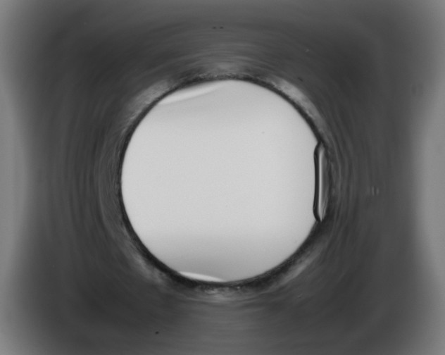 X0000086110481200704132212