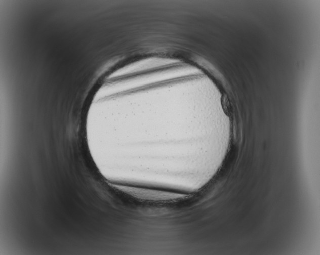 X0000086110483200704132212