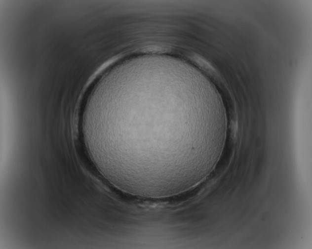 X0000086110484200704132212