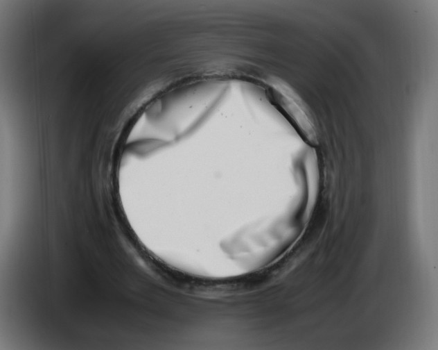 X0000086110485200704132212