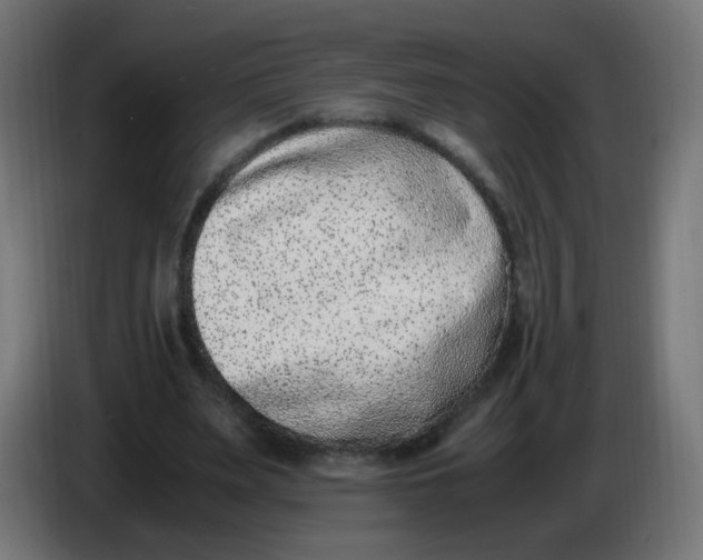 X0000086110487200704132212