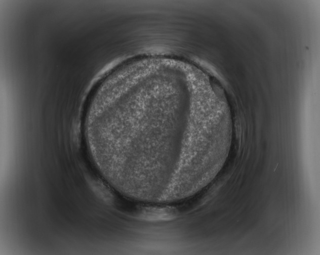 X0000086110488200704132212