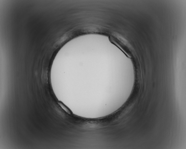 X0000086110489200704132212