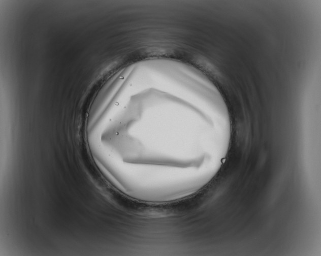 X0000086110490200704132212