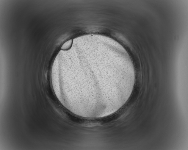 X0000086110491200704132212