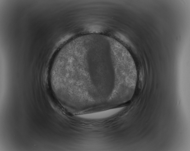 X0000086110492200704132212