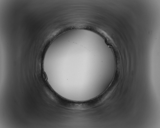 X0000086110493200704132212