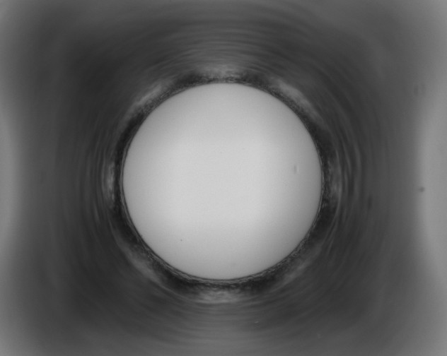 X0000086110494200704132212