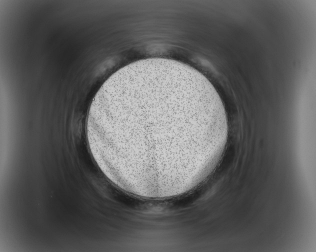 X0000086110495200704132212