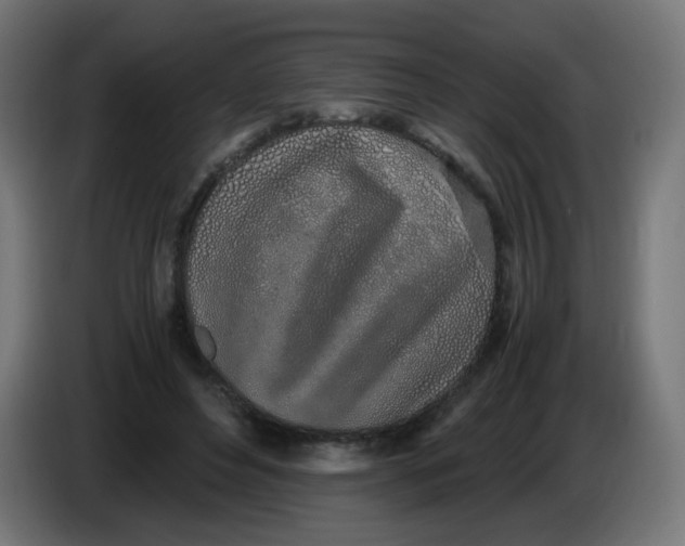 X0000086110496200704132212