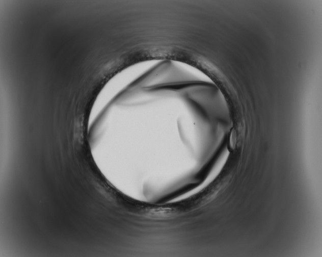 X0000086110497200704132212