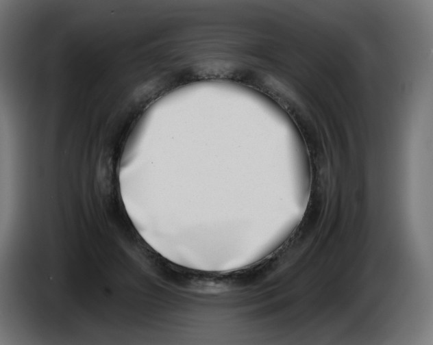 X0000086110498200704132212