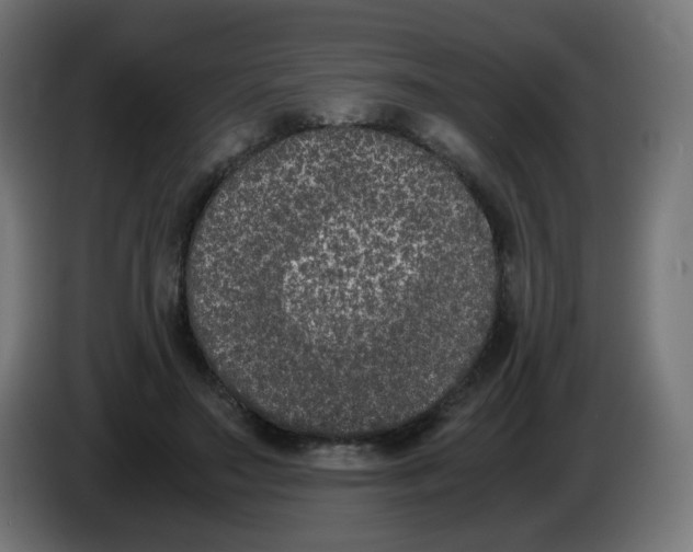 X0000086110499200704132212