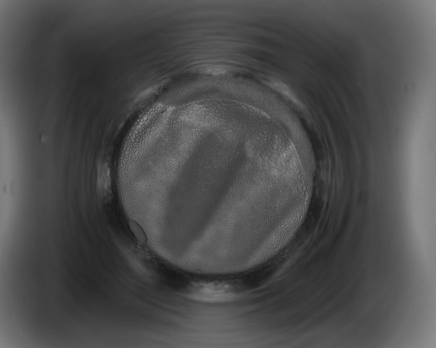 X0000086110500200704132212