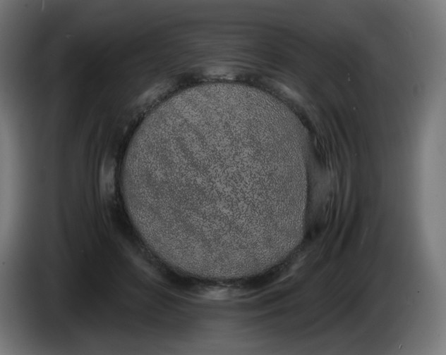 X0000086110504200704132212