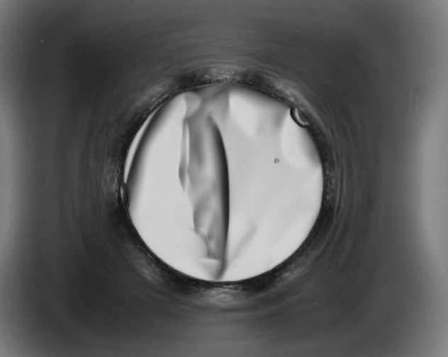 X0000086110505200704132212