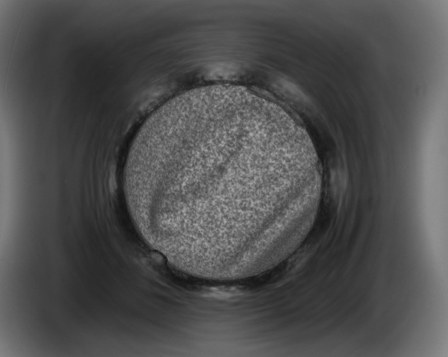 X0000086110508200704132212