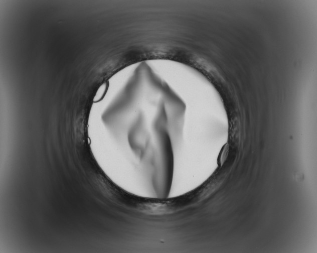 X0000086110509200704132212