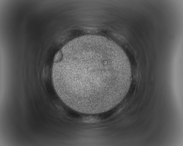 X0000086110511200704132212