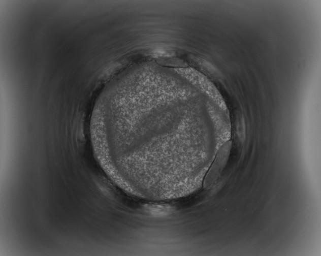 X0000086110512200704132212