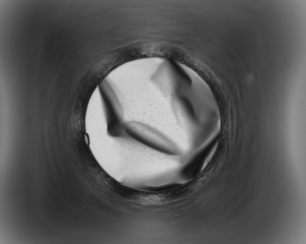 X0000086110513200704132212