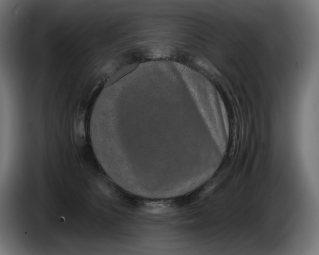 X0000086110516200704132212