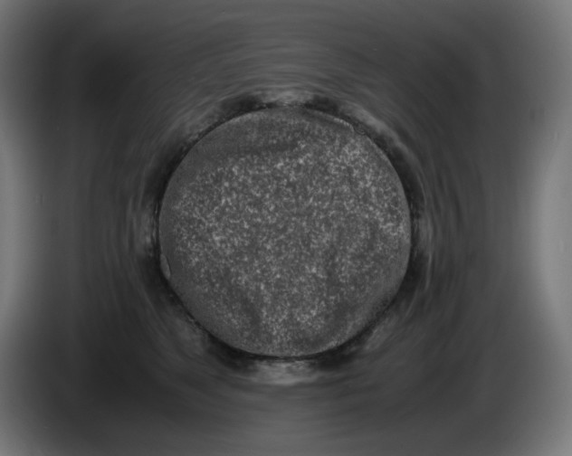 X0000086110517200704132212