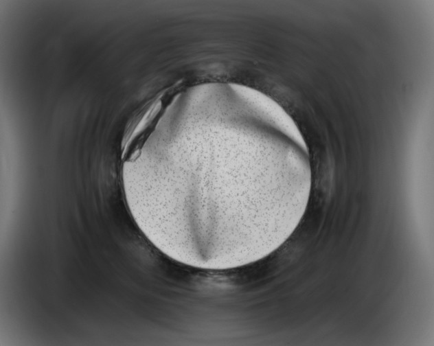 X0000086110518200704132212