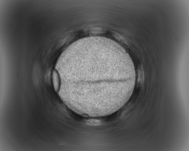 X0000086110519200704132212