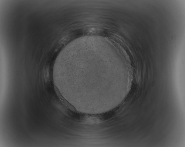 X0000086110520200704132212