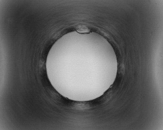 X0000086110521200704132212