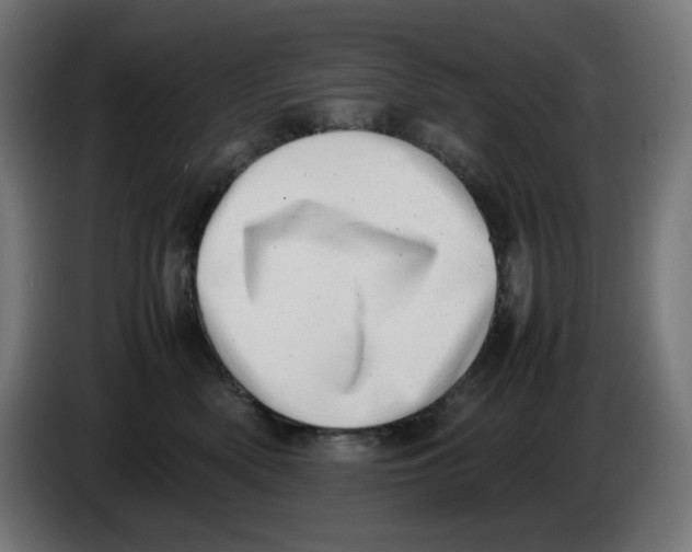 X0000086110522200704132212