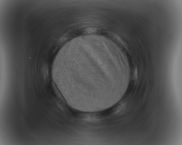 X0000086110524200704132212