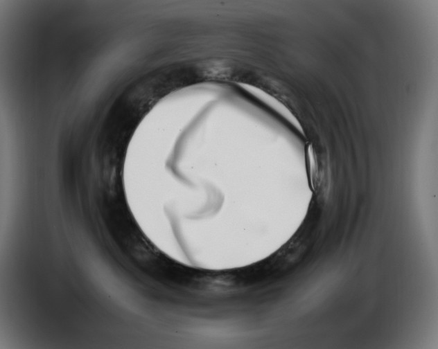 X0000086110525200704132212