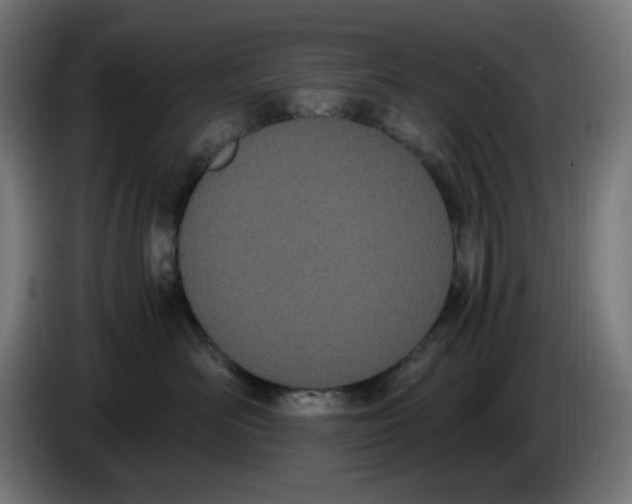 X0000086110526200704132212