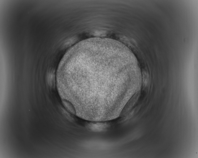 X0000086110527200704132212