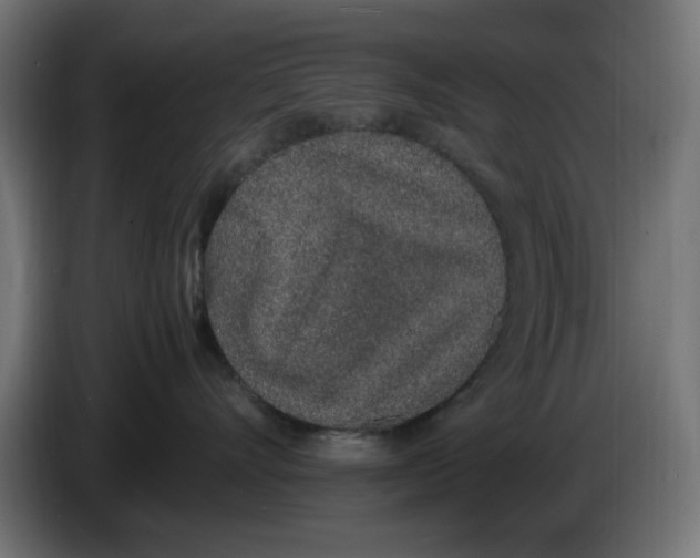 X0000086110528200704132212