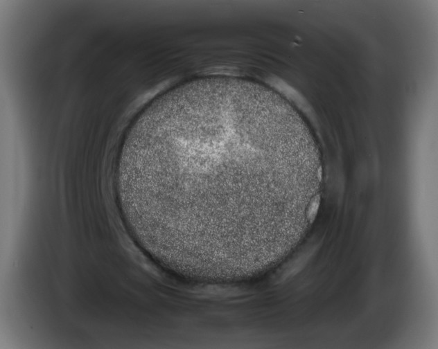 X0000086110529200704132211