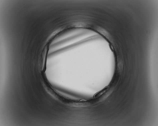 X0000086110530200704132211