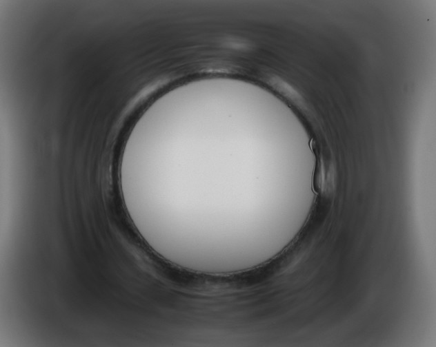 X0000086110531200704132211